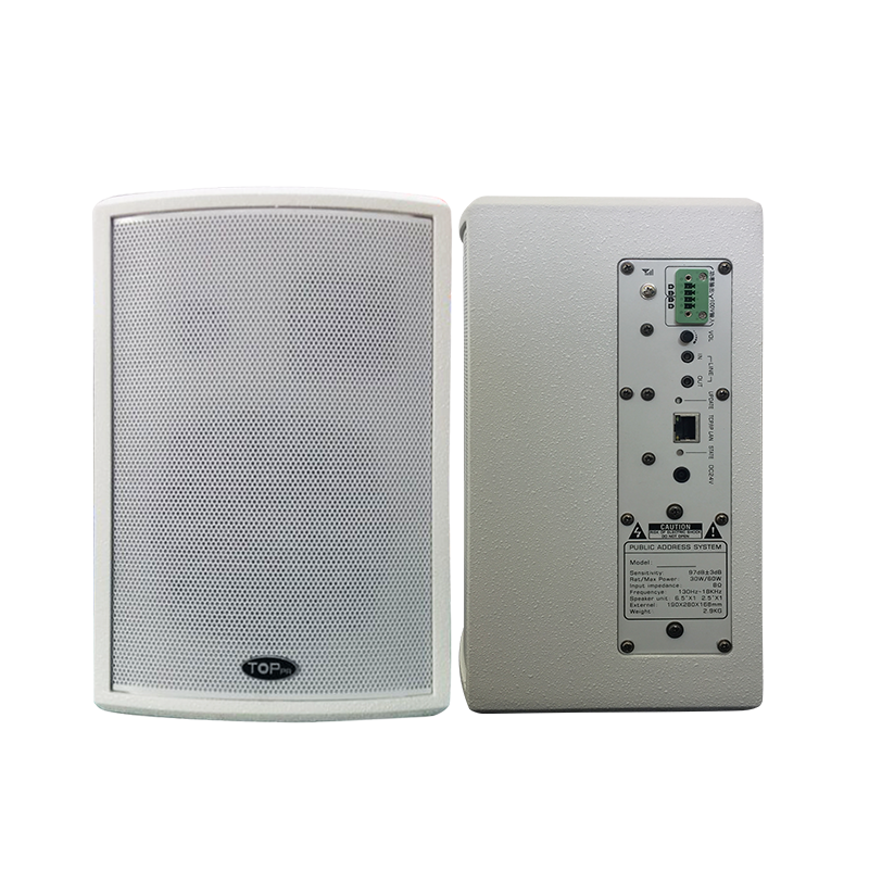 IP網絡有源音箱 TP-9019